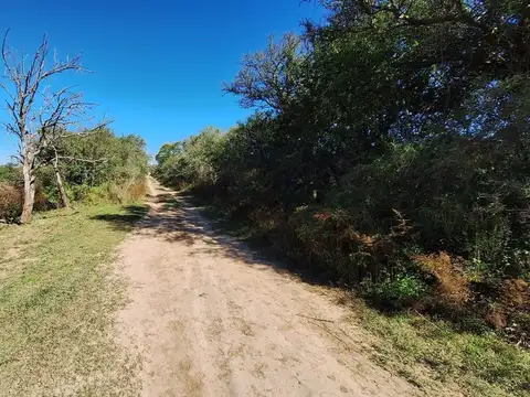 LOS MOLINOS - VENTA HERMOSO LOTE CON VISTA