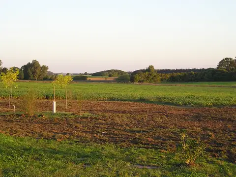 Campo en Venta de 25  ha