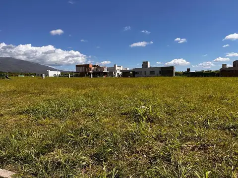Las Quintas 2