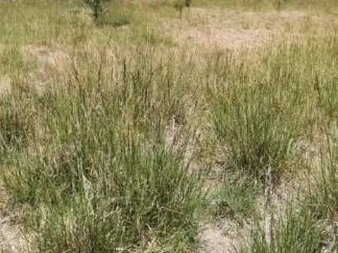 Terreno en Venta de 5565,0 m2