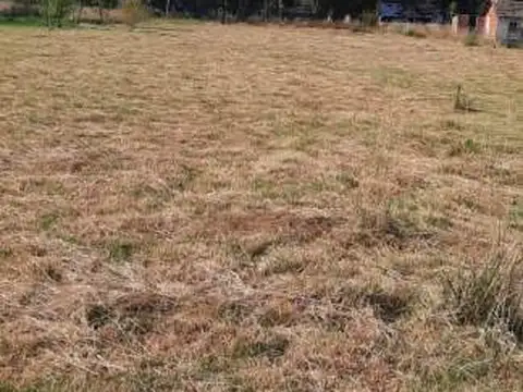 Terreno en Venta 50  mts Frente