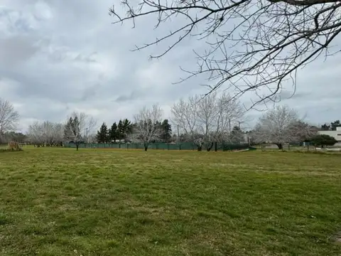 Terreno en Venta de 700,0 m2