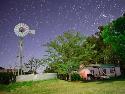 Campo dedicado a la cría de caballos con grandes galpones.