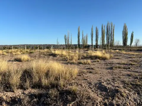 Terreno en Venta de 614,0 m2