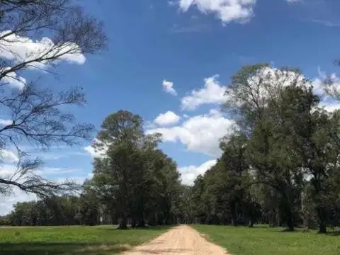 Terreno en Venta en Los Tres Pinos, USD 40.000