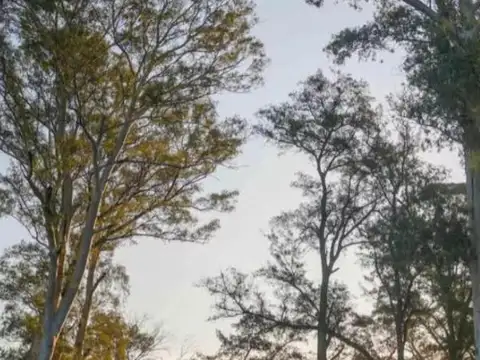 Terreno en Venta en Los Tres Pinos, USD 40.000