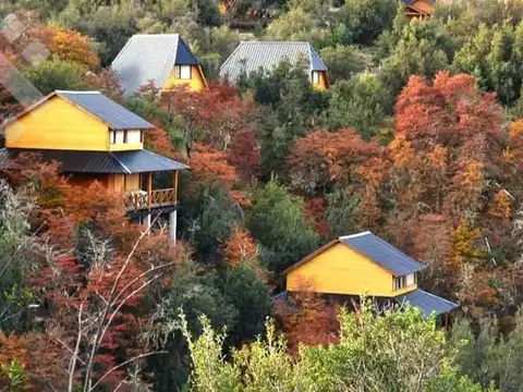 VENTA COMPLEJO DE CABAÑAS - VILLA PEHUENIA - PATAGONIA ARGENTINA