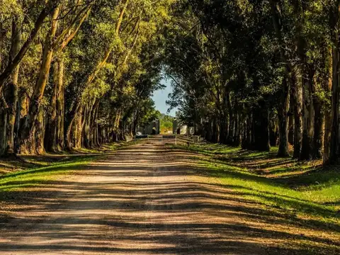 VENTA LOTE EN CHACRAS DE SAN ANDRÉS 2.900m2