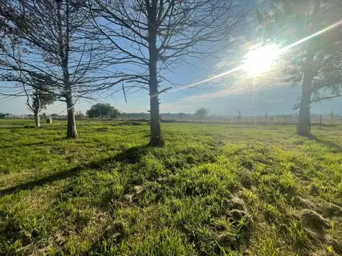 Terreno en Venta de 600,0 m2