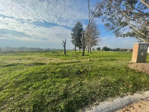 Calle El Deslinde 1100