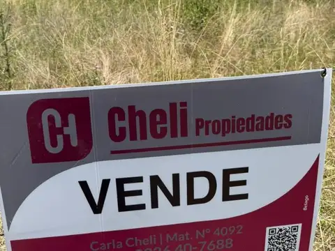 LOTE SOBRE CALLE SARMIENTO INTERNO