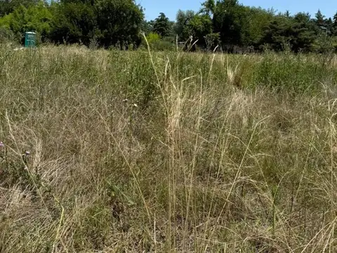 Terreno en Venta en San Antonio De Areco, USD 74.000