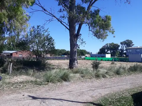 655 14 BIS Y 15