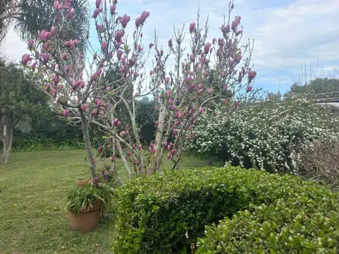 Local en Venta en General Las Heras, USD 140.000