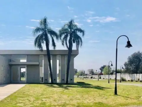 Carola Lorenzini 4600