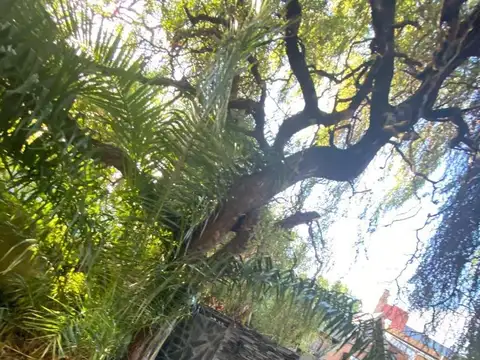 Terreno en Venta 35  mts Fondo