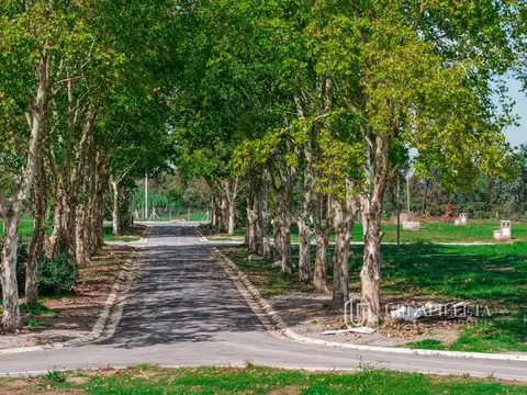 San Miguel barrio privado- Pilar