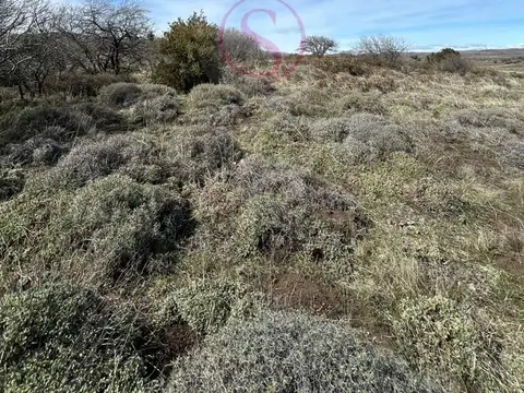 Terreno en Venta de 1312,0 m2