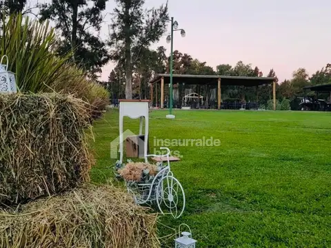 Belgrano 1000