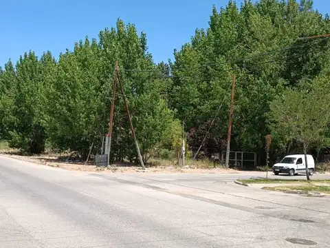 Lote 391 m2 todos los servicios, plaza huincul
