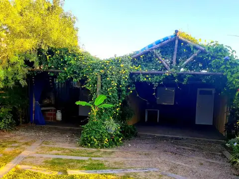 Cayasta -LOMAS DE PUNTA  ARENAS