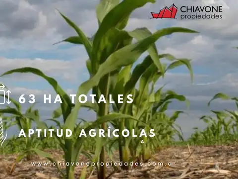 Campo en Venta de 63  ha