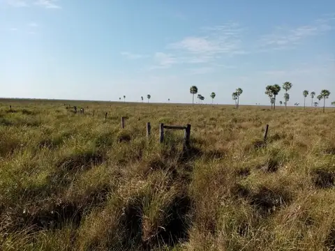 Pedro Pena- Dep. Paraguayo