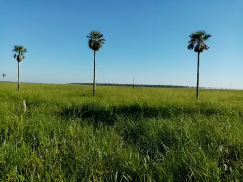 Campo - Venta - Paraguay, Paraguay
