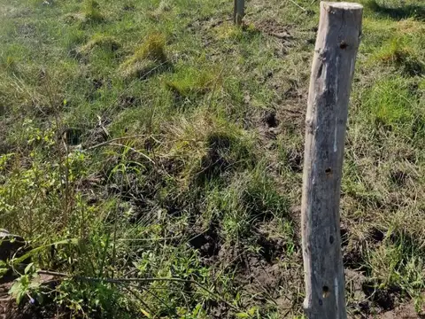 Campo - Venta - Paraguay, Paraguay