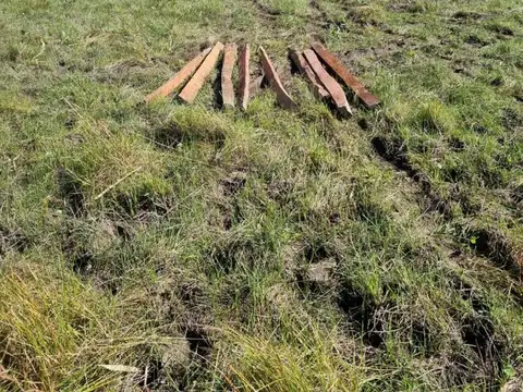 Pedro Pena- Dep. Paraguayo