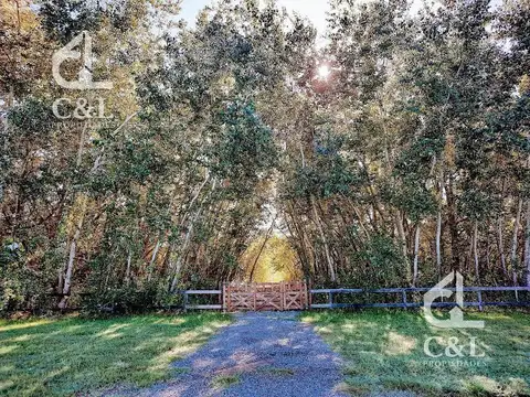 Benquerencia Farm Club - Lote 451