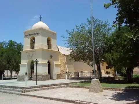 Campo en Venta Agrícola