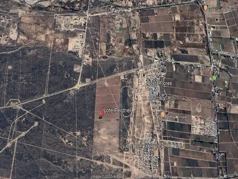 Venta Lote Perdriel Lujan de cuyo Mendoza