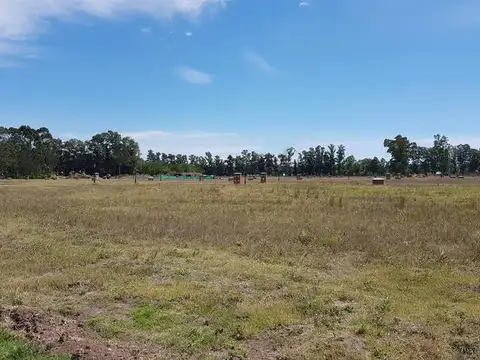 Terreno en Venta de 466,0 m2