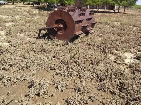 Venta de Estancia de 30000 ha en La Pampa, Chical Co, Algarr