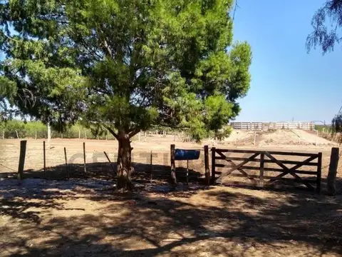 Venta de Estancia de 30000 ha en La Pampa, Chical Co, Algarr