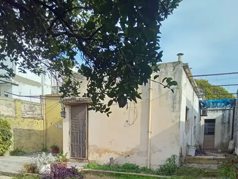 Esperanto 100