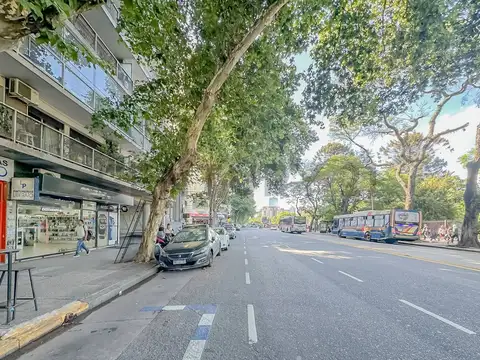 Local en Alquiler 2026 años