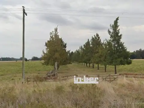Campo - Venta - Argentina, veronica