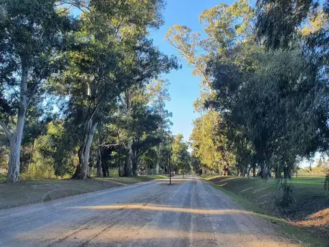 Terreno en venta - 2.467mts2 - Canning, Ezeiza