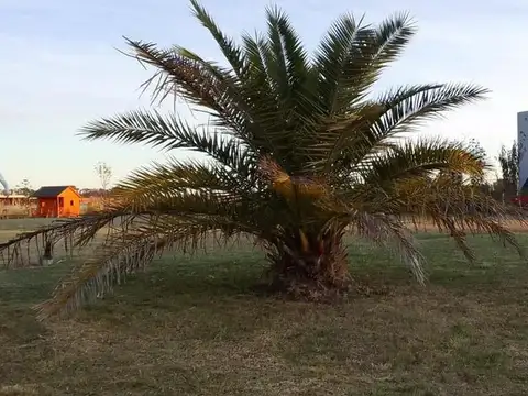 Estancia Villa Maria