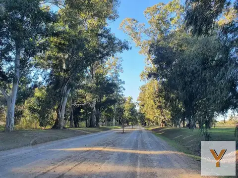 Terreno en venta - 2.467mts2 - Canning, Ezeiza