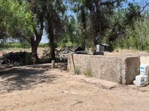 VENTA FINCA EN SANTA ROSA