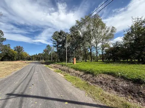 Tomas Espora 3498