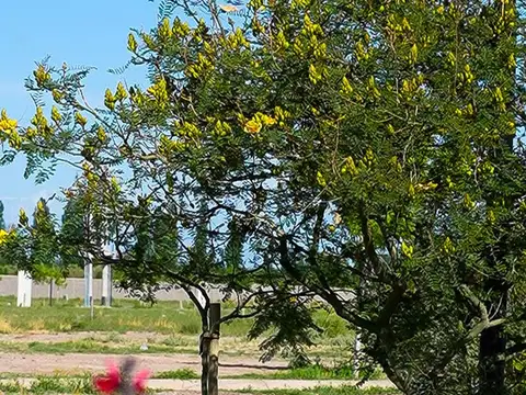 Terreno en Venta de 525,0 m2