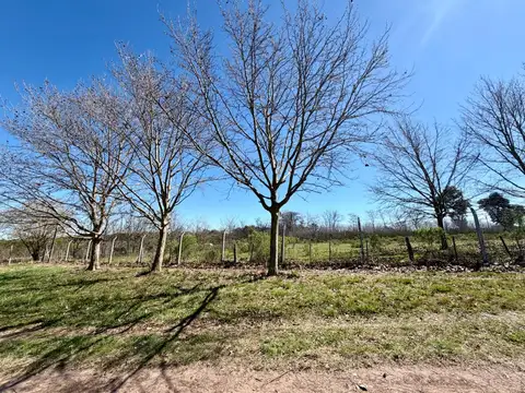 Terreno en Venta de 3100,0 m2
