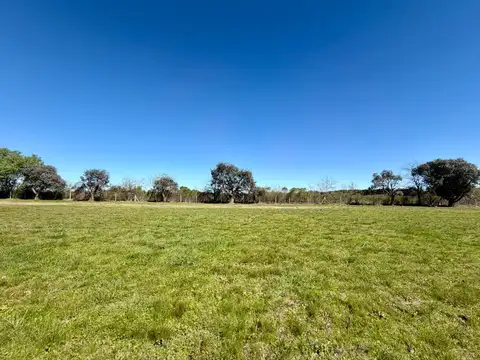 Oportunidad Terreno 3100m2 Perimetral La Ranita
