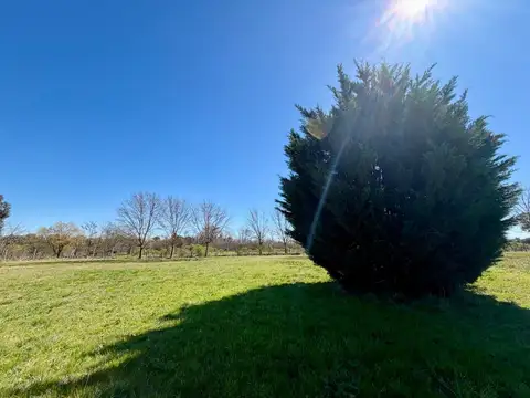 Oportunidad Terreno 3100m2 Perimetral La Ranita