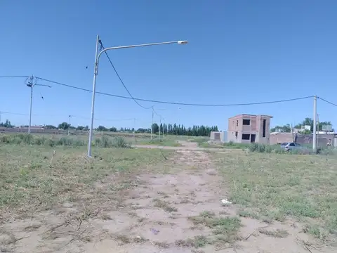 Terreno 4.500 m2 Rivadavia Mendoza