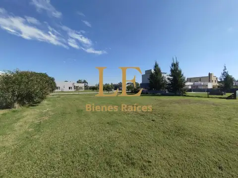 El Ensueño 100